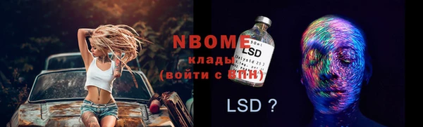 ГАЛЛЮЦИНОГЕННЫЕ ГРИБЫ Арсеньев