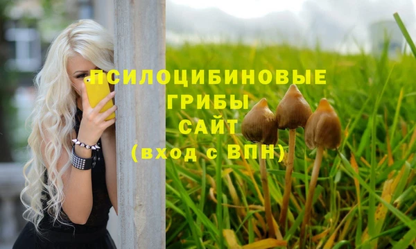 a pvp Аркадак