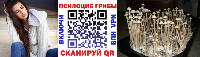 Псилоцибиновые грибы ЛСД  купить закладку  Рошаль 
